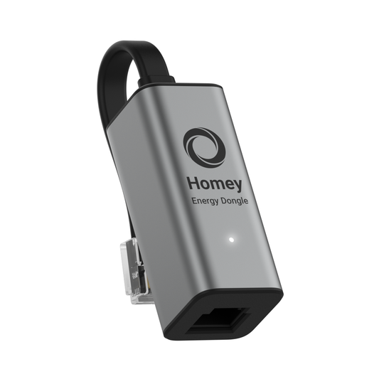 Homey Energy Dongle (P1)